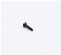 LMS 10000/10001 Screw - B 31-995