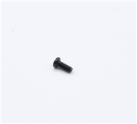 LMS 10000/10001 Screw - C 31-995