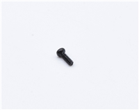 LMS 10000/10001 Screw  - E  31-995