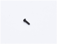 LMS 10000/10001 Screw - G 31-995